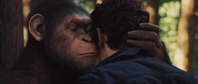 猩球崛起4在线观看,终极之战在线观影指南：揭秘猿类革命的高潮篇章